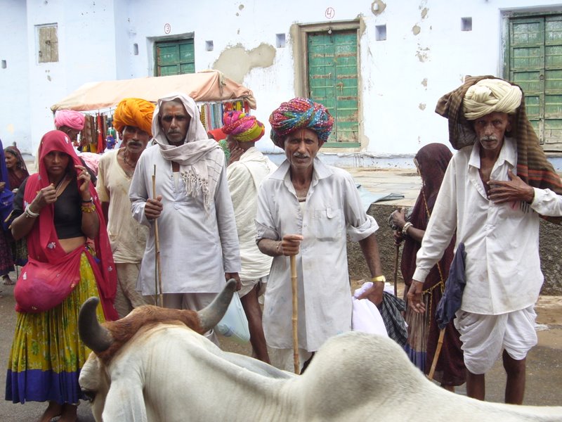 Travel - India - Rajasthan - Pushkar - Streets and People